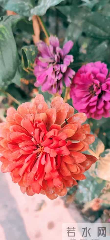 老了才明白的现实：儿媳妇的心捂不热，隔代的孙子也打不得