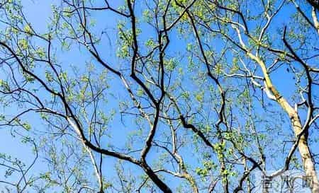 晚年有尊严的秘诀：手里攥紧“老本”，不用看任何人脸色