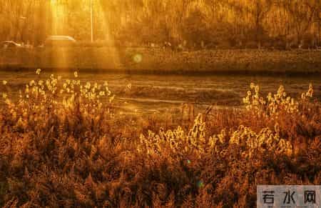 五十岁以后，不管你有多少存款，千万别做这5件糊涂事！