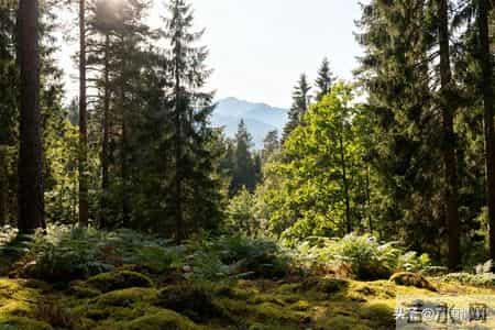 改变一个孩子最有效的手段，不是讲道理、发脾气，而是这两个字