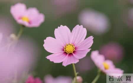 被人看不起时，聪明的活法：不纠缠，不内耗，不讨好