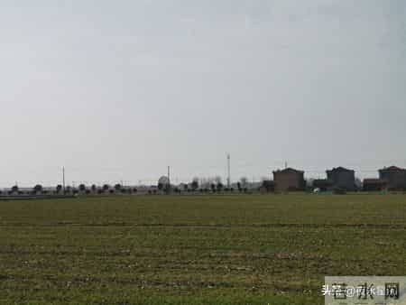 95岁二伯，抽烟喝酒为啥能长寿？