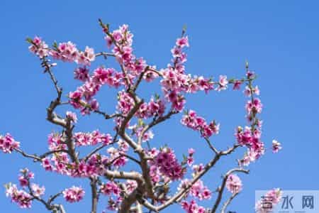 从今往后，你家孩子将越来越顺利