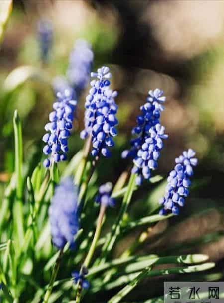 年轻人，趁现在拼尽全力赚钱，多赚钱才是你的头等大事！