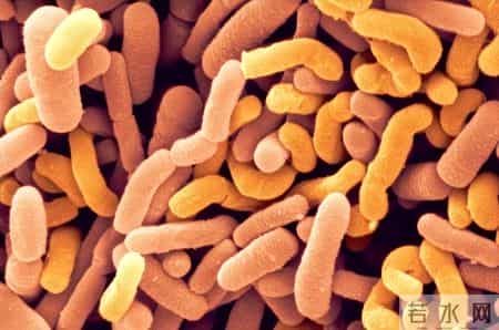 东北酸菜致癌？长期吃酸菜对健康是好是坏？实地抽检揭开真相！