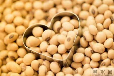 癌症最怕：6种“碱性食物”要常吃！激活免疫力，抵抗体内癌细胞