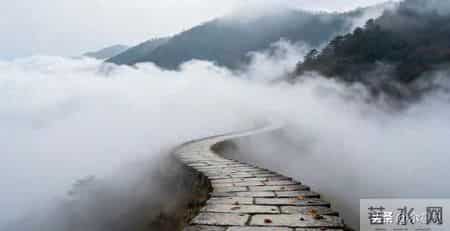 头条新手顿悟：随手点的赞，竟是未来最值钱的铺路石