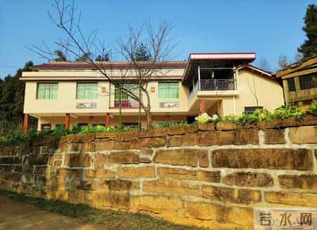 230位老人凑5万买楼养老，19年后人去楼空，最后一幕让人泪目