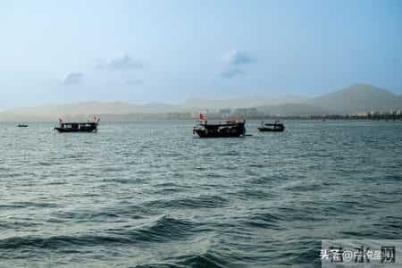 全崩了，这6大网络骗局专坑老年人！所有人，请赶紧远离