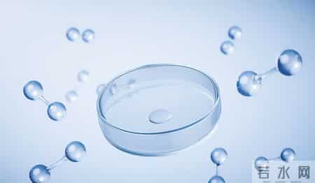 桑葚再次被关注，医生发现：肾病患者常喝桑葚泡水，或有这3好处