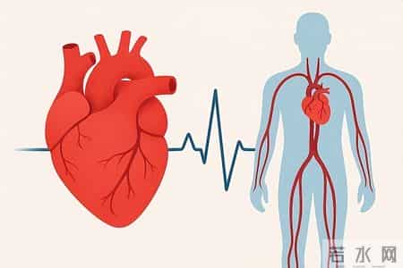 医生提醒：入冬后最伤害心脏的行为，不是散步！而是频繁做这4事