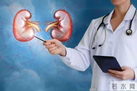 体检发现 3 项指标异常？大概率是慢性肾病早期前兆，别忽视早检查