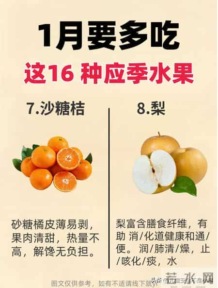 1月要多吃这16种应季水果
