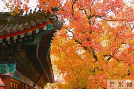 父母老了才开始看你脸色？其实他们不是怕，是太在乎。