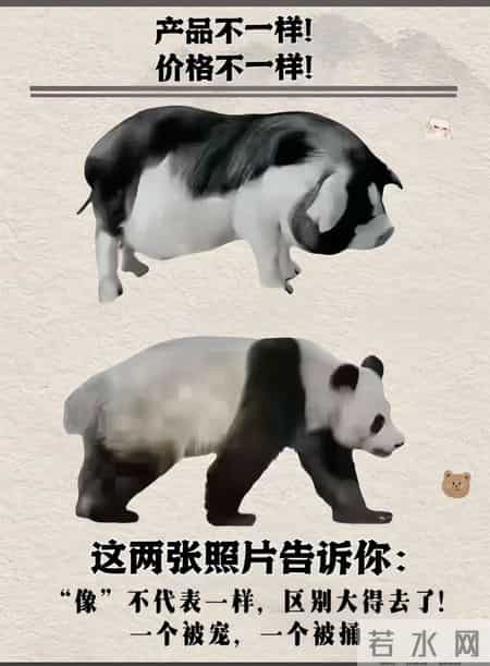 请把你的“好”：《变得“贵”一点》