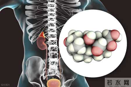 提醒：这3种行为最易诱发痛风发作，中老年人尽量少做或不做