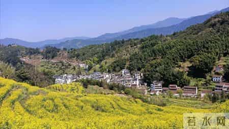 【我的退休故事】：过极简生活不是因为没钱，而是为晚年更有底气