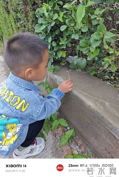 把日子过成一首无忧无虑的歌