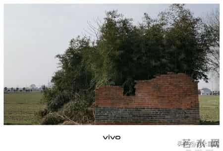 95岁二伯，抽烟喝酒为啥能长寿？