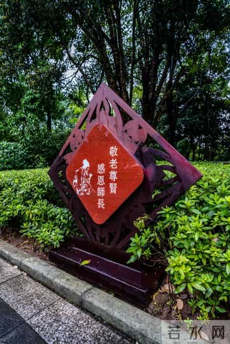 老了，怕的不是死，是受罪，80岁走真的刚好够本？