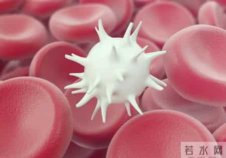 在血常规检查中，知名专家：这2项数值异常，可能是肿瘤信号！