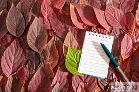 头条创作没东西可写？我告诉你一招，保管你有写不完的素材