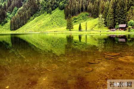 身边的亲戚朋友总爱念叨一句话：不结婚不生孩子，老了谁管你？