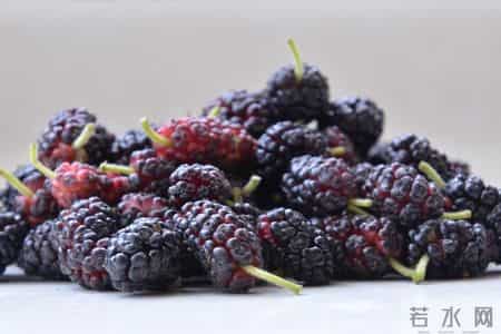 桑葚再次被关注，医生发现：肾病患者常喝桑葚泡水，或有这3好处