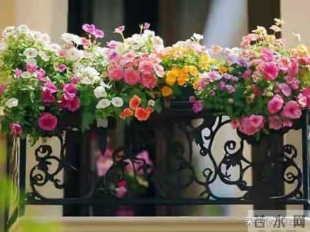 忠告子女：再孝顺，也不要为年过75岁的老父老母，做这五件事。