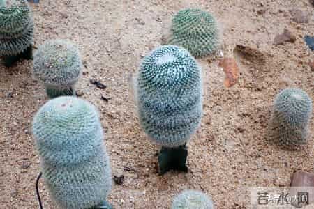 如果你到了六十，还在奔波打工，我想对你说几句真心话。