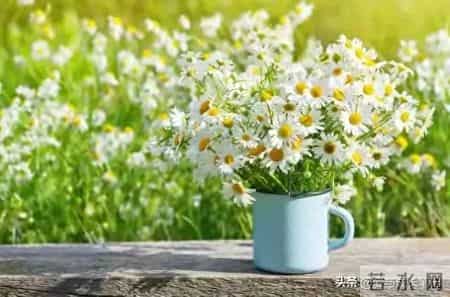 退休了，只要你不入任何的局。你将话得很自在