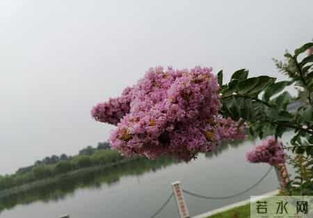 人际交往大忌，不要轻易让别人知道，你与谁有矛盾