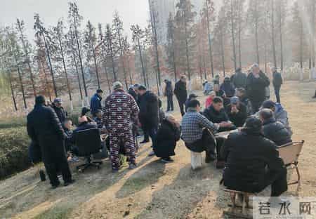 他们晒的不是太阳，晒的是“财务自由”