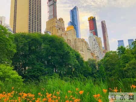 七十岁后最怕什么？这5个养老雷区，90%的家庭都踩过