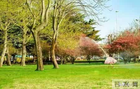 60岁后，手里有钱，心里不慌，这才是晚年最硬气的靠山