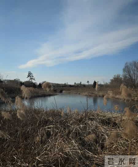 广东养老金“小a值”真特殊！外省都没有的打折规则，到底咋回事