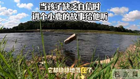 当孩子缺乏自信时，讲个小鹿的故事给他听。育儿经验＃父...