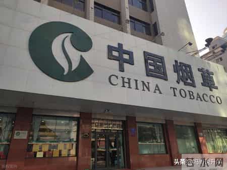 紧急收藏！烟草选岗避坑全攻略 从地区到岗位全拆解 看完直接上岸