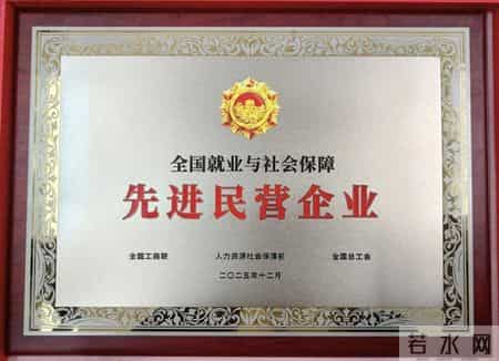 盐津铺子荣获“全国就业与社会保障先进民营企业”称号