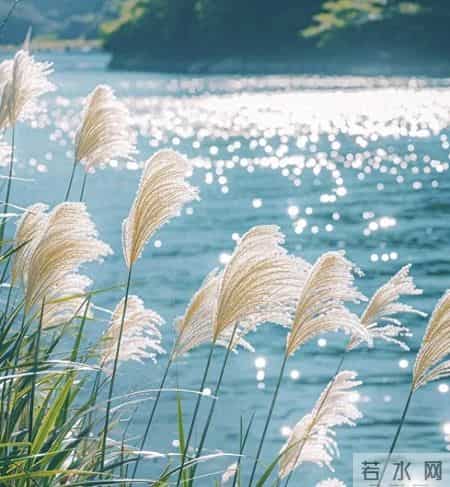 对付背后捅刀的同事，往死里整一个，众生皆服