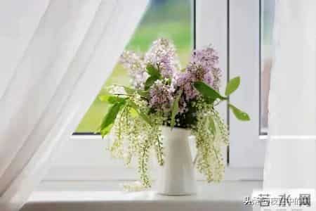 好运将至！从此你家孩子阳光明媚，步步生花！