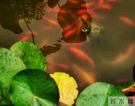 张晓磊情感爆款文章-和任何人相处，掌握这两招就够了！