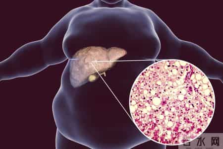 42岁女性患上高血脂，天天吃芹菜，2个月后复查，医生：你咋做到