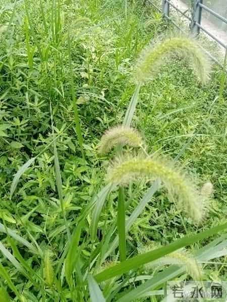 老了才明白 一儿一女的家庭最不好 等儿女长大要结婚生娃你就知道了