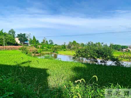 我63岁，存款12万，养老金198元，但我决定不再继续打工