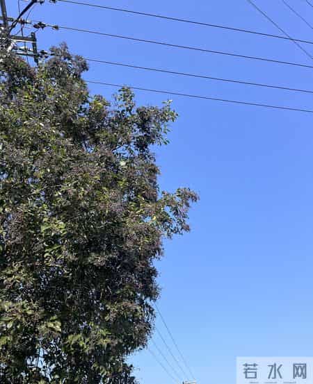 灵活就业300%档值不值？年缴5万12年回本，这两类人缴了血赚