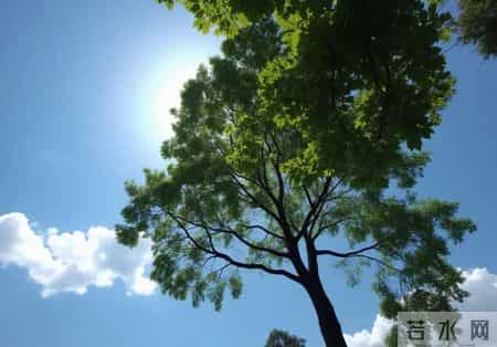 子女有这3个习惯，大多不会孝顺，父母一定要给自己留好后路