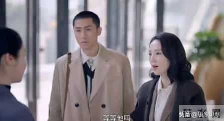 谁没在《不期而遇的生活》里看到自己？职场哪是上班，分明是渡劫