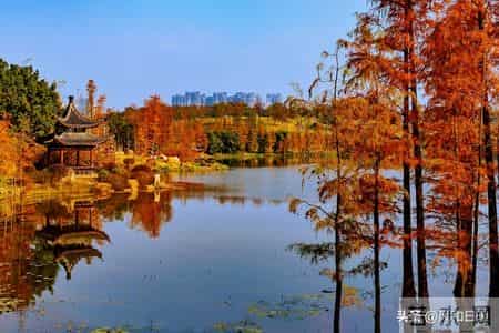 废掉一个孩子最快的方式，就是让他“按你的道理”长大