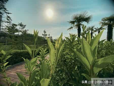 父母给孩子送钱，这八条黄金法则千万记住，别光顾了心疼就乱出手